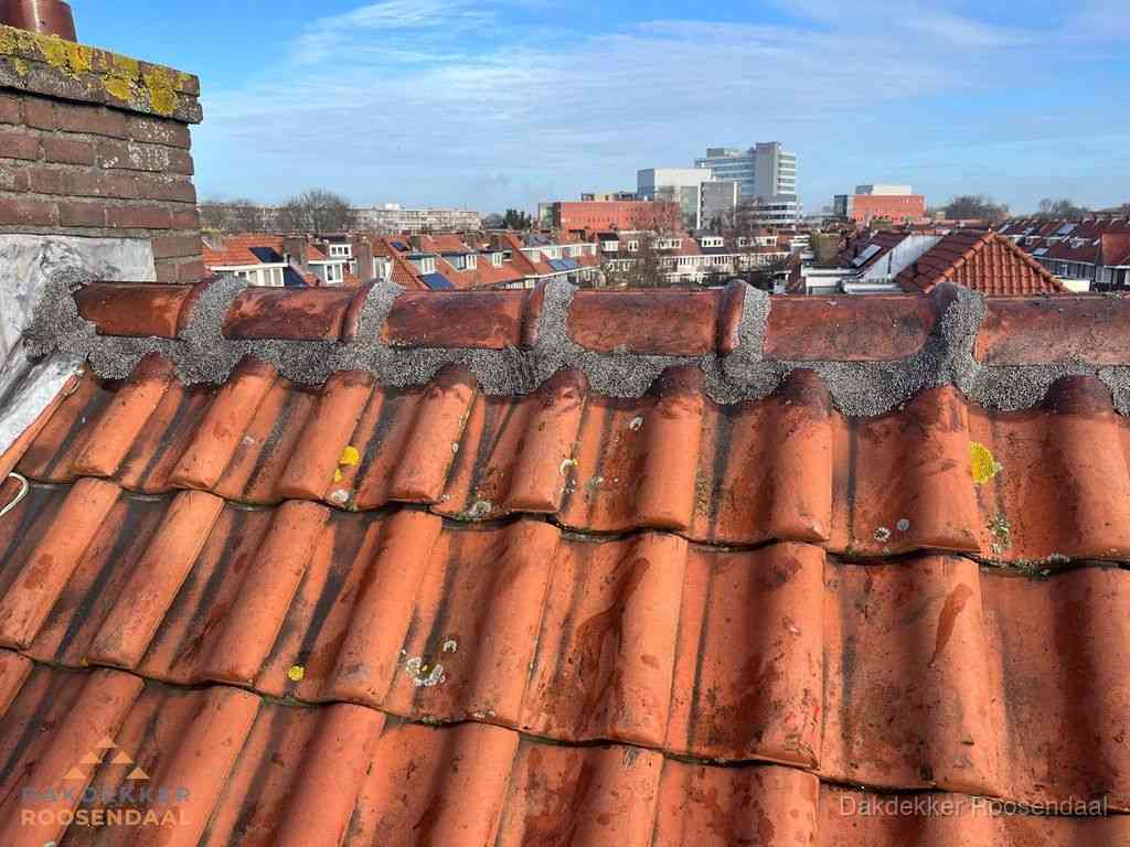 Roosendaal Daken Renoveren Roosendaal Daken Renoveren